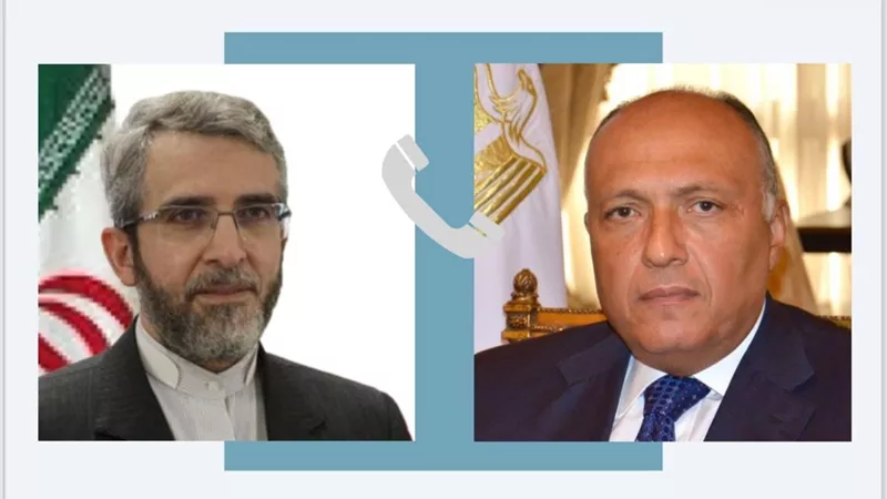 سامح شكري يتلقى اتصالا هاتفيا من وزير خارجية إيران
