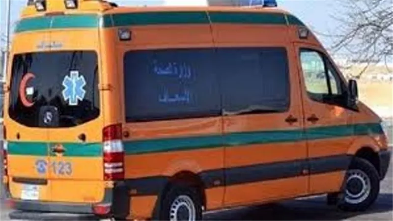 مصرع شخص واصابه 2 آخرين في حادث تصادم بالدقهلية