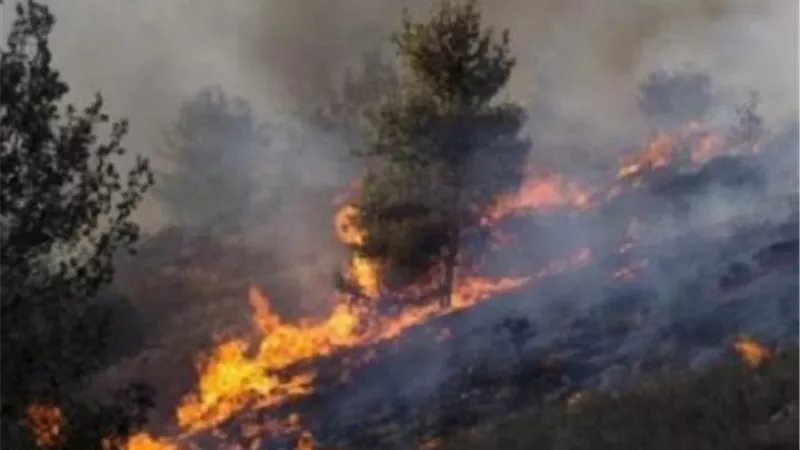 مستوطنون يشعلون النيران في ممتلكات الفلسطينيين جنوب نابلس