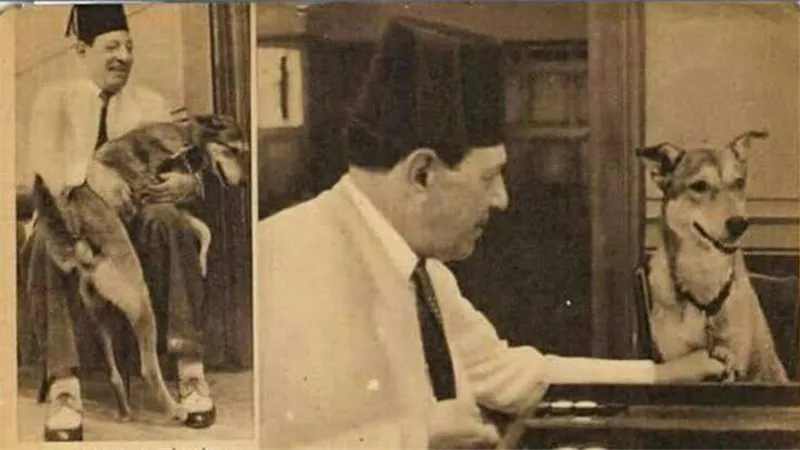 أغرب من الخيال.. قصة 