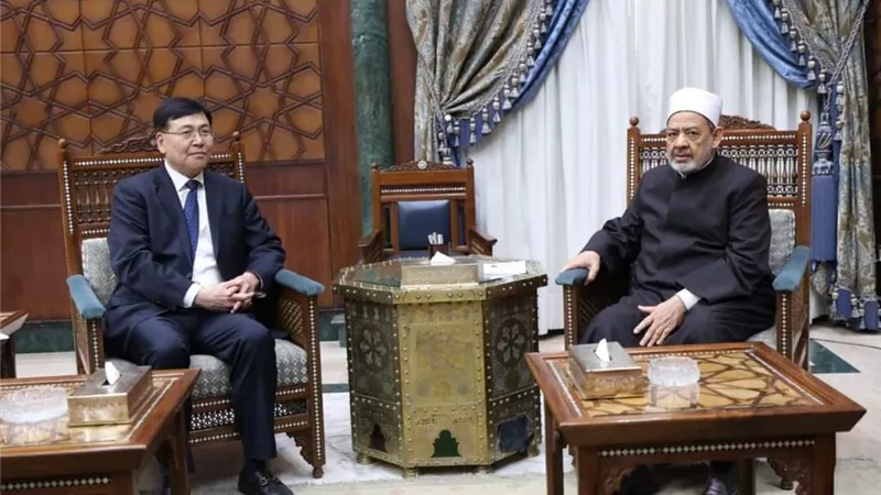 الإمام الأكبر يؤكد زيادة المنح الدراسية المقدمة للأئمة فى الصين