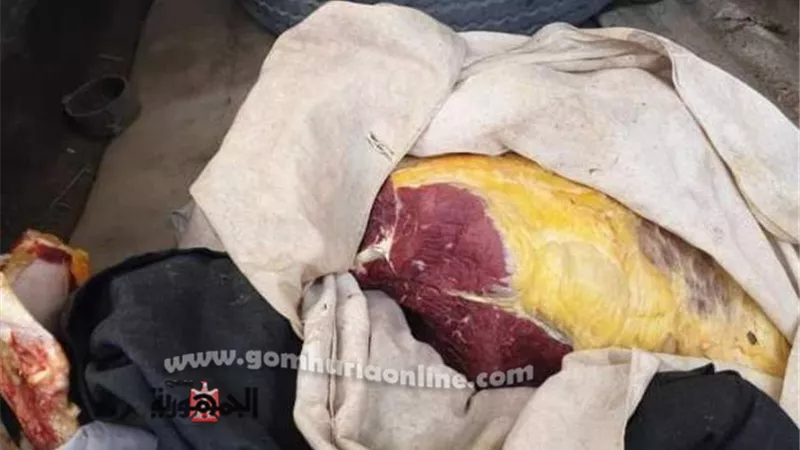 ضبط 2 ونص طن أغذية و لحوم غير صالحة للإستهلاك الآدمي بسوهاج
