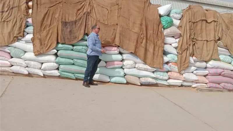 توريد 227027 طن و 691 كيلو ا قمح اليوم بالبحيرة