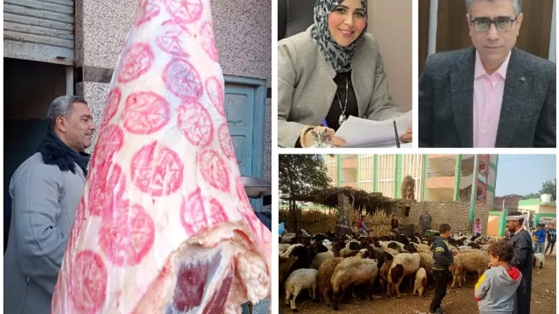 الجيزة تحقق أعلي مبيعات لصكوك الأضاحي ..بين المحافظات