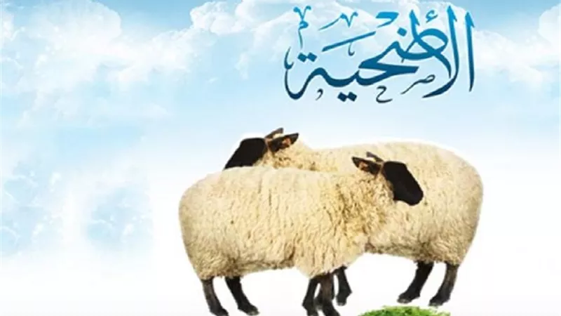 الأضحية هل يكفي أداءها مرة واحدة فى العُمر؟