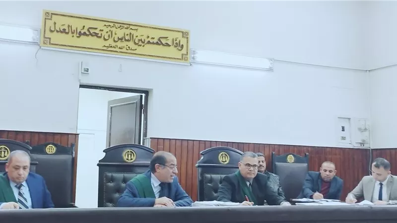 سقوط عاطل المنيا بالصنف