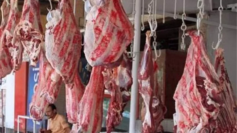متحدث الزراعة: توفير لحوم حية تبدأ من 155 إلى 250 جنيه بشوادر ومنافذ الوزارة