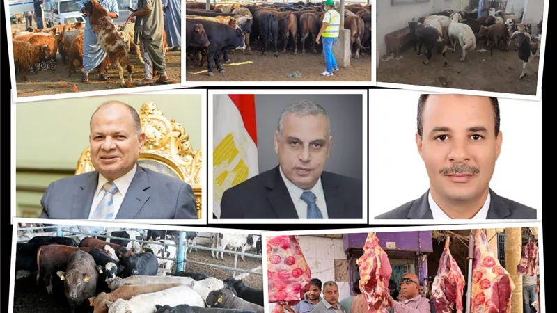وفرة في لحوم العيد.. من بحري إلي الصعيد