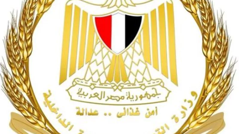 التموين: طرح اللحم الكندوز الطازج بـ285 جنيها للكيلو