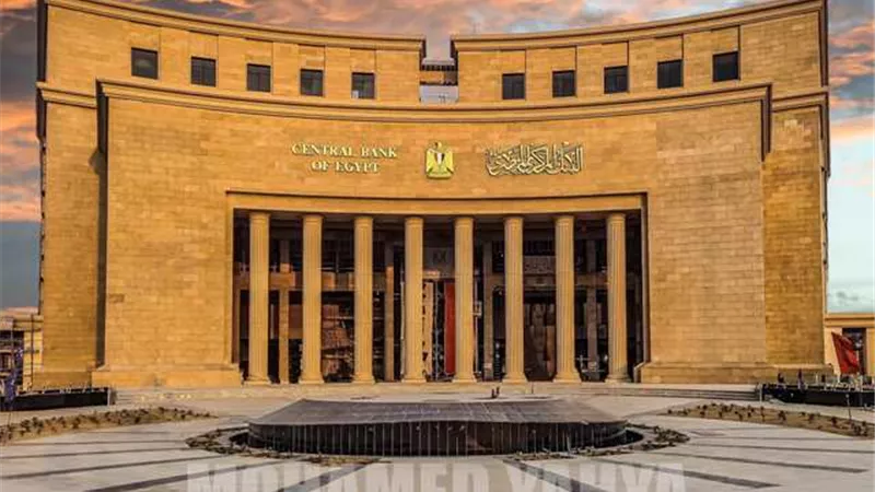 البنك المركزي: تراجع معدل التضخم الأساسي لـ 27.1% خلال مايو 2024