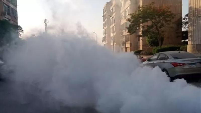 حملة لمكافحة الحشرات ب 15 مايو .. حفاظاً على الصحة العامة .. صور