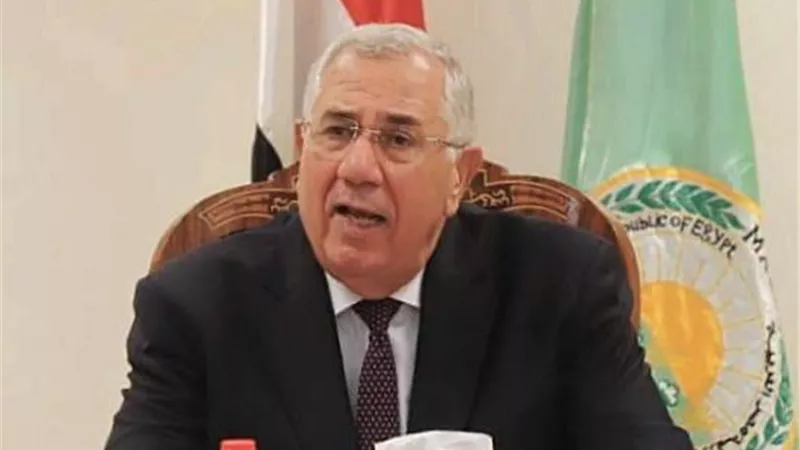 الزراعة توافق على استيراد 145 ألف رأس عجول للذبح الفوري