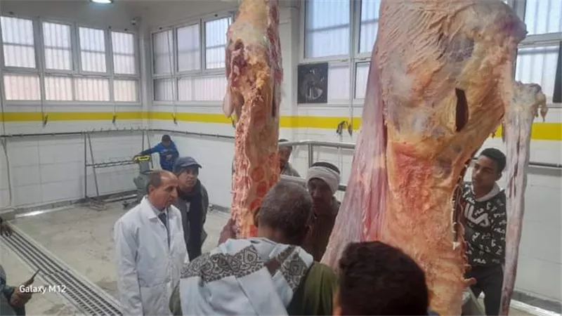 محافظ أسيوط يؤكد استعداد الطب البيطري لعيد الأضحى المبارك
