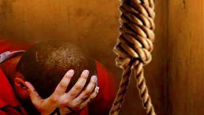 حالات تقود صاحب الشهادة الزور إلى الإعدام.. تعرف عليها