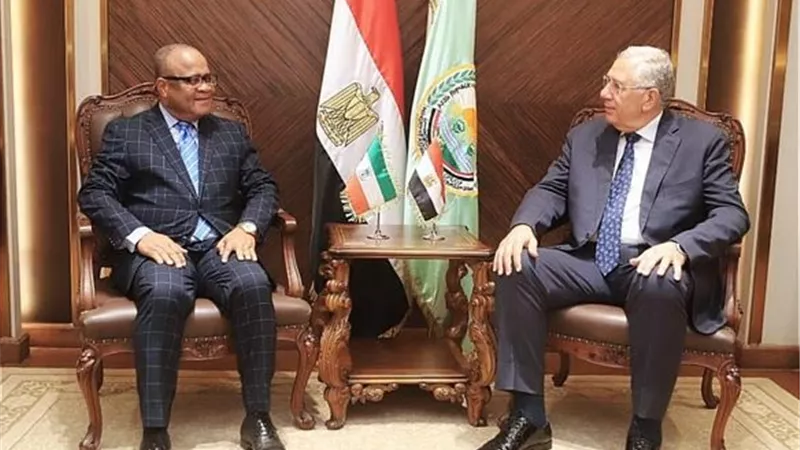 وزير الزراعة يبحث مع نظيره الغينى التعاون بالأنشطة الزراعية