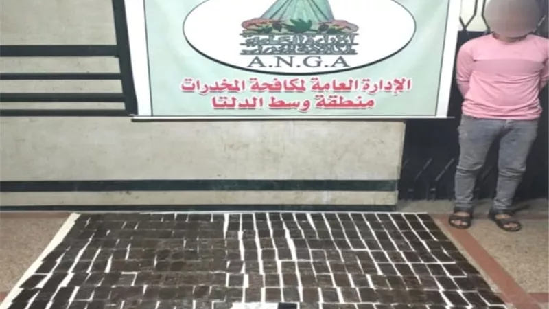 24 كيلو حشيش بحوزة عنصر إجرامى بالغربية