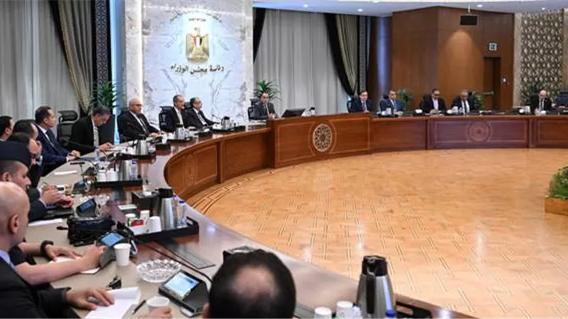رئيس الوزراء يتابع جهود توطين صناعة الرقائق الإلكترونية