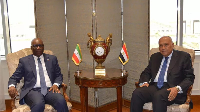 سامح شكري يستقبل وزير الخارجية والتعاون الدولي بغينيا الاستوائية