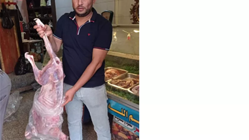 ضبط 34 ذبيحة ضانى وماعز باجمالى 181 كيلو فاسدة