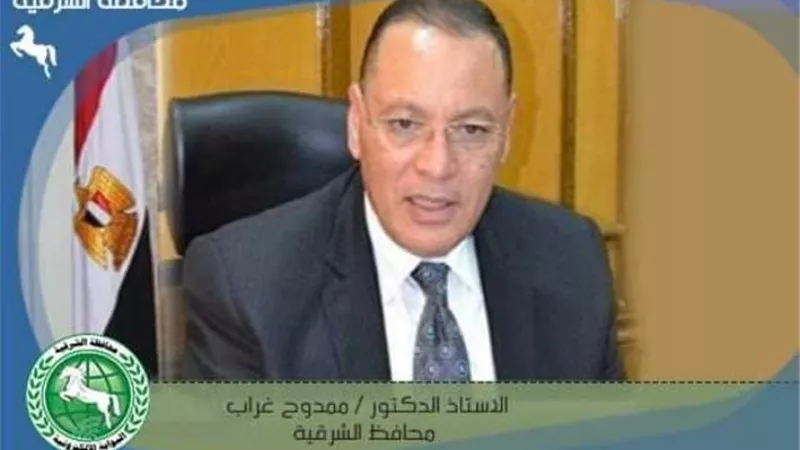 مكتبة مصر العامة بالزقازيق تقدم خدماتها لعدد 739 طفل وشاب
