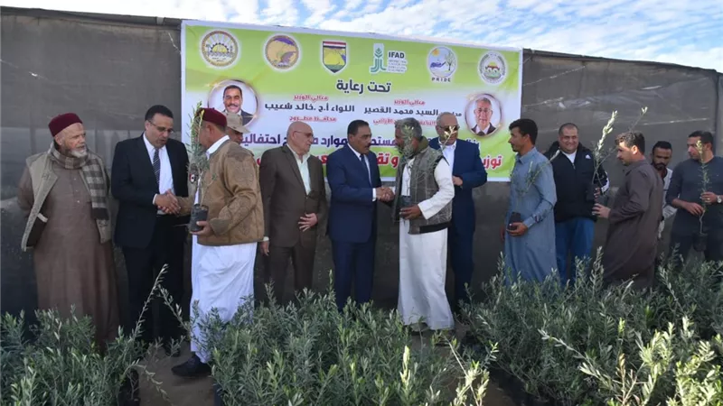 مطروح توزع وتزرع ٦٥ ألف شجرة