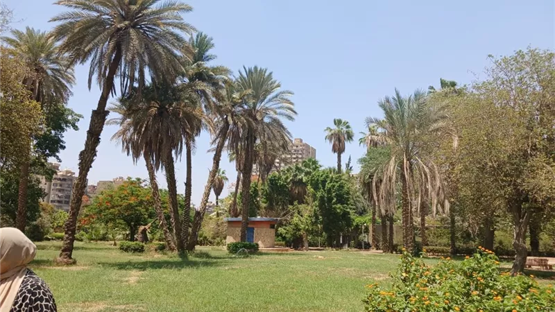 قرار مهم من وزيرة البيئة بشأن قطع الأشجار بحديقة الميرلاند
