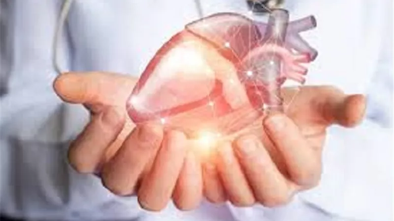 العلماء الروس يطورون جهازا لنقل قلب المتبرع بغرض زراعته