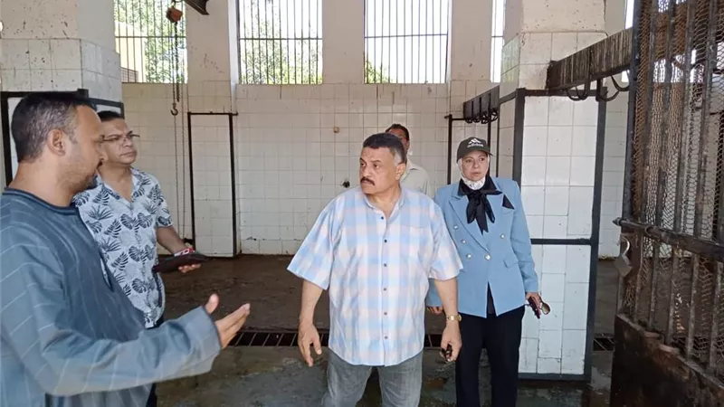 جاهزية 38 مجزرأ حكوميأ لذبح الأضاحي بالمجان في المنيا