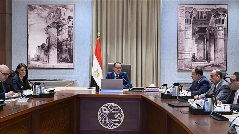 رئيس الوزراء يستعرض مقترح شركة