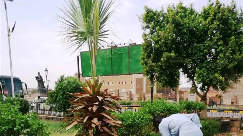 محافظ أسوان : زراعة 78 ألف شجرة للظل والمثمرة ورفع كفاءة الحدائق