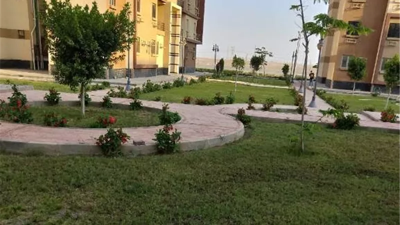رئيس جهاز بدر يكشف تفاصيل أحدث أعمال الزراعة فى المدينة.. بالصور