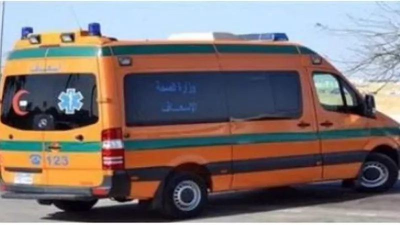 اصابة 3 اشخاص في حريق شقة سكنية بالدقهلية بسبب ماس كهربي