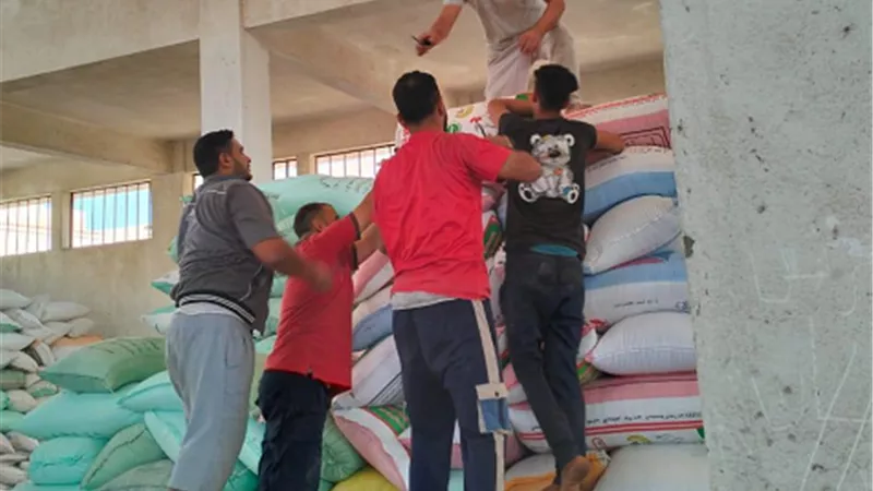 توريد 228198 طن قمح بالبحيرة