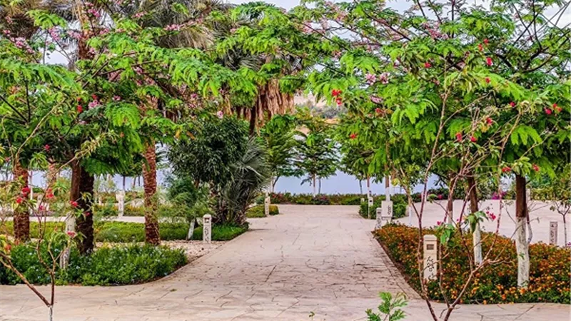 وزير الإسكان يتابع موقف مشروعات الزراعة والتشجير في المدن الجديدة