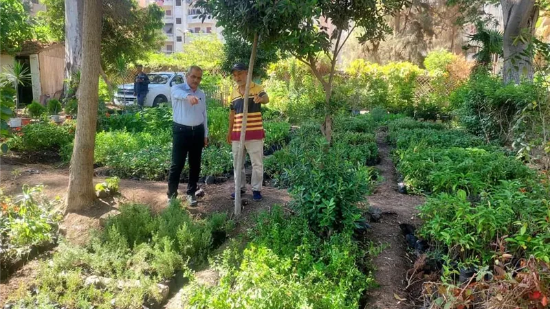 رفع كفاءة مشتل دسوق وتزويد الحدائق العامة بالزراعات الجديدة