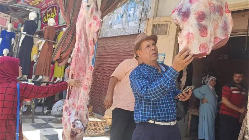 تحرير 9 محاضر لمخالفات تموينية بكفر الشيخ
