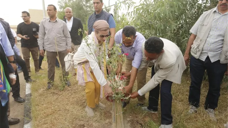 وزارة البيئة شهدت زراعة ما يقرب من 14 ألف شجرة مثمرة وزينة