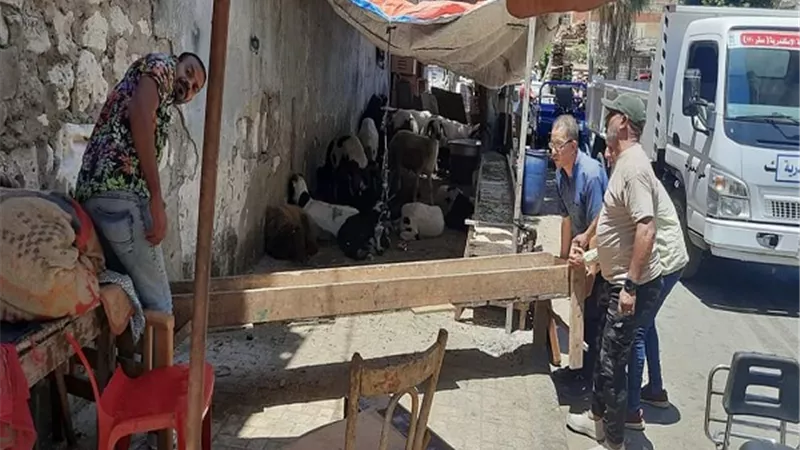 ٣ ملايين جنيه حصيلة غرامات إقامة الشوادر بدون تصريح بالاسكندرية