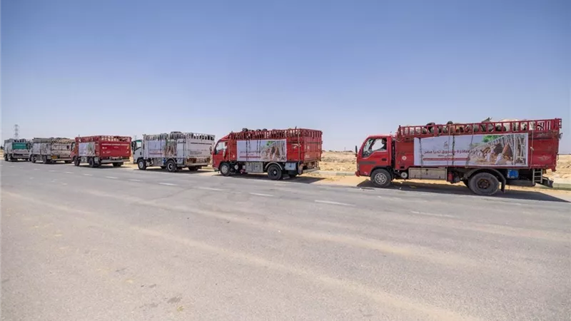 صندوق تحيا مصر يطلق مبادرة 