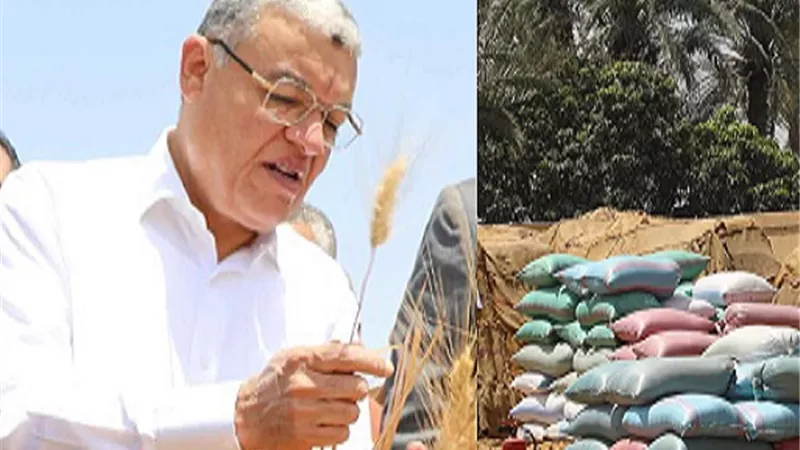 محافظ المنيا: شون وصوامع المحافظة تواصل استقبال القمح