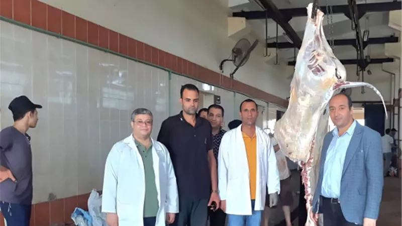 مرور اللجان على 22 مجزرا للتاكد من توافر مستلزمات الذبح بالبحيرة
