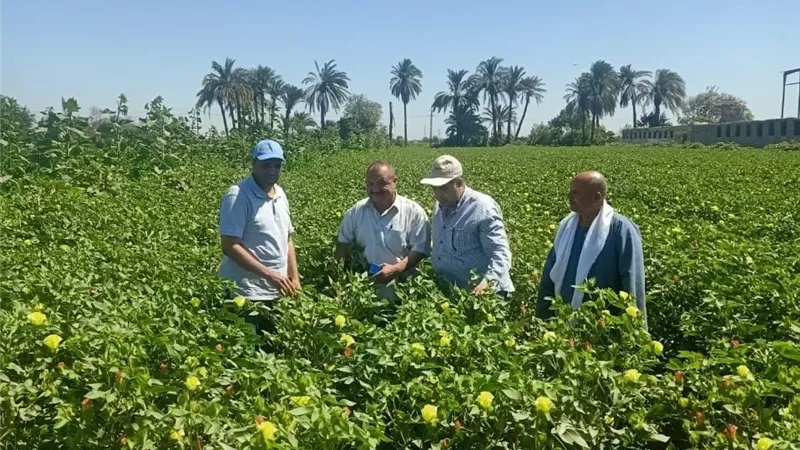 وزير الزراعة يتابع جهود حماية الأراضى الزراعية من التعديات في المحافظات