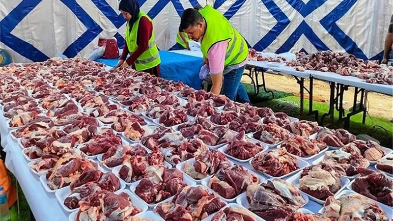 انطلاق توزيع الدفعة الأولى من لحوم أضاحي الأوقاف الخميس المقبل