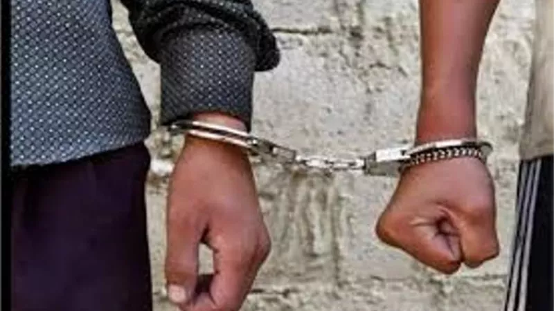 حبس مسجلين خطر لقيامهم بارتكاب جرائم سرقة فى البساتين