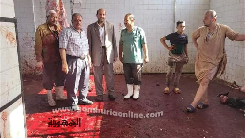 بيطري المنيا يتابع المجازر الحكومية لاستقبال أضاحي المواطنين