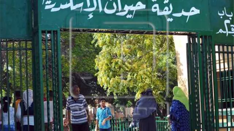 الجزر والخس للقرود والسلحفاة والبطاطا لفرس النهر بحديقة الحيوان