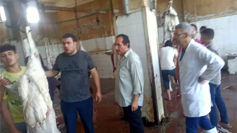 محافظ كفرالشيخ: ذبح 360 أضحية بمجازر المحافظة للمواطنين