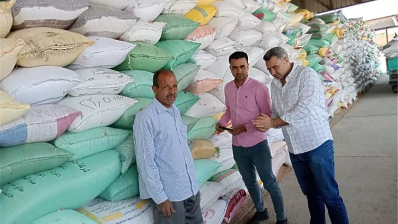 توريد 228297 طن قمح بالبحيرة