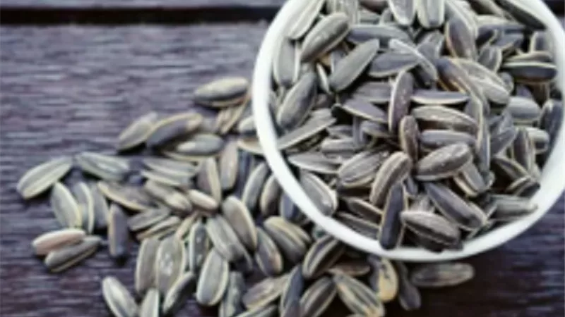 تحسين المزاج وزيادة التركيز.. فوائد اللب السوري