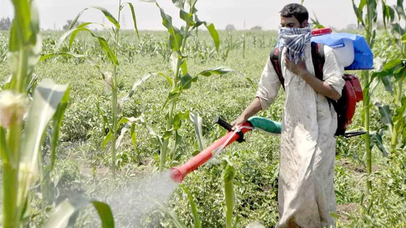 «مكافحة الآفات» تتابع حالة المحاصيل بالظروف المناخية الحادة